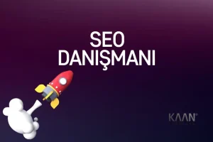 Seo Danismani